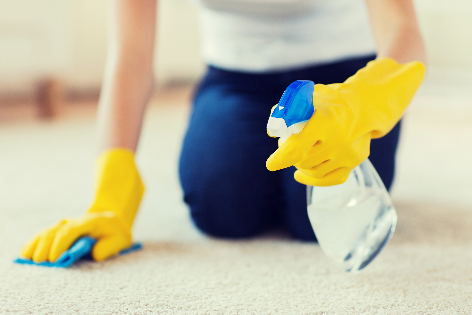 XTP Sofa & Carpet Cleaning Services